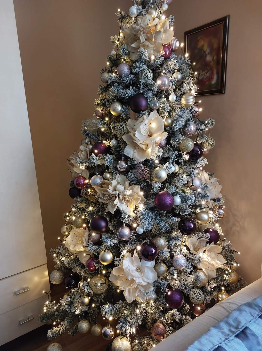 Najljepši borovi na Božić 2023. Najljepši borovi na Božić 2023.