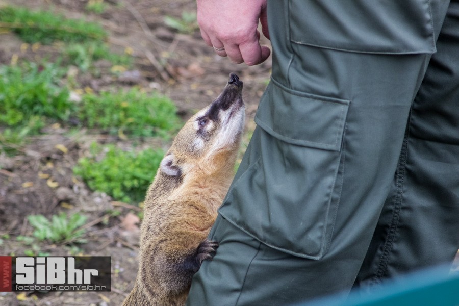 zoo_uskrs_2016_sibhr_22