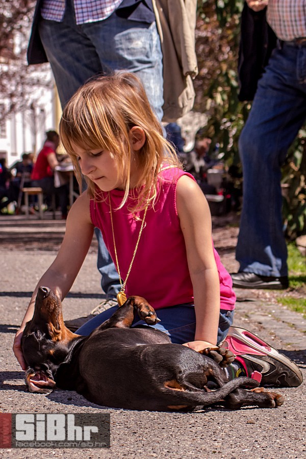 ulica_ringlova_ivica_benic_sibh