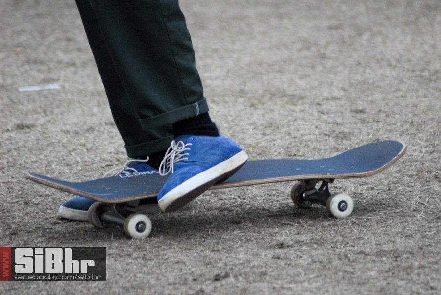pannonian_petak2015_SiBhr113