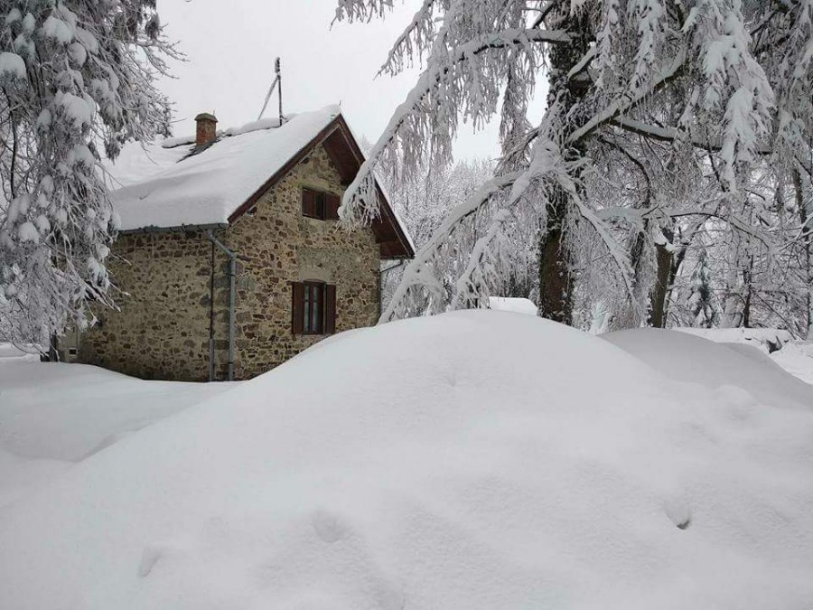 FB_IMG_1519646336159-900×675 FB_IMG_1519646336159-900×675