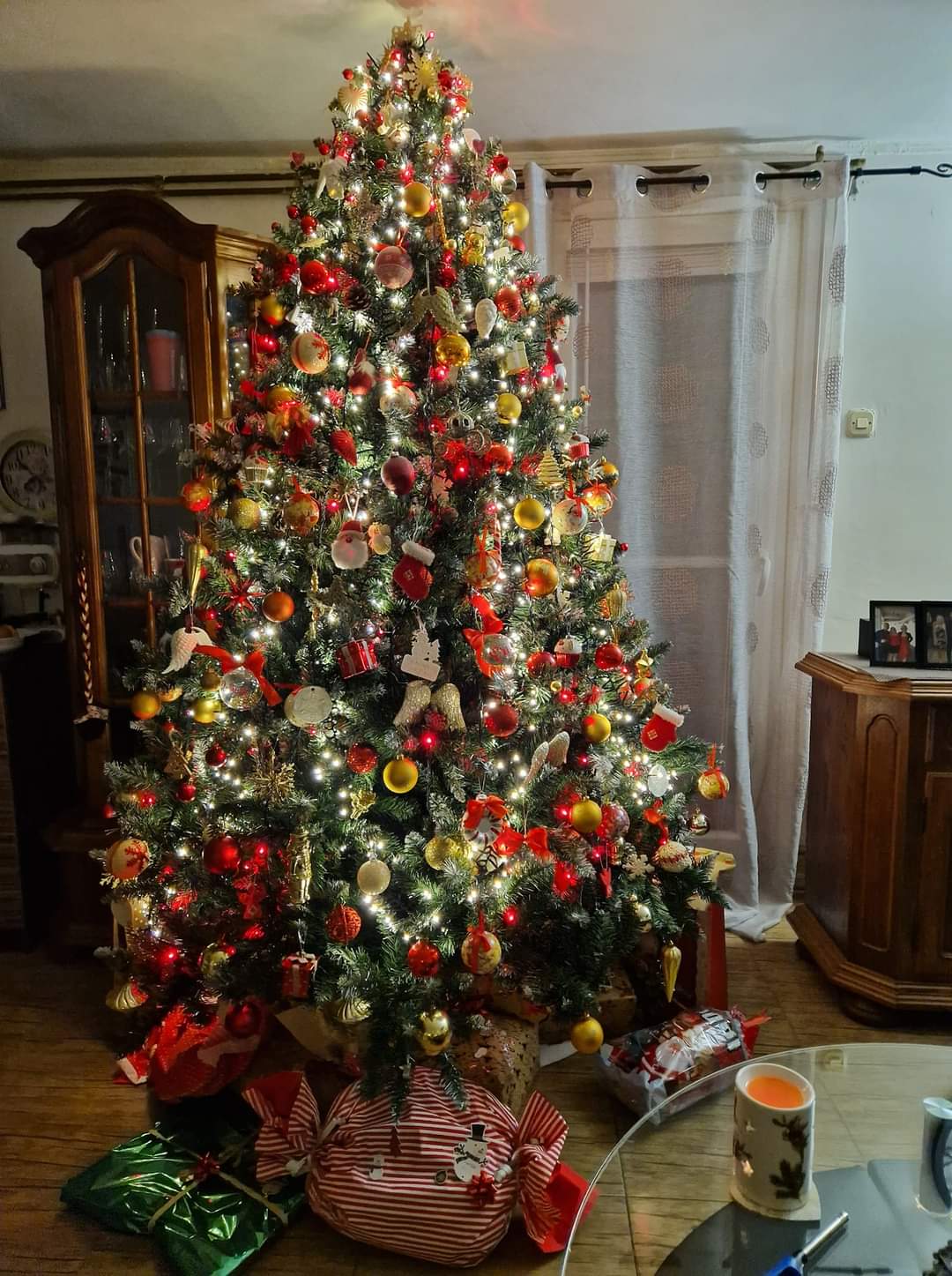 Najljepši borovi na Božić 2023. Najljepši borovi na Božić 2023.