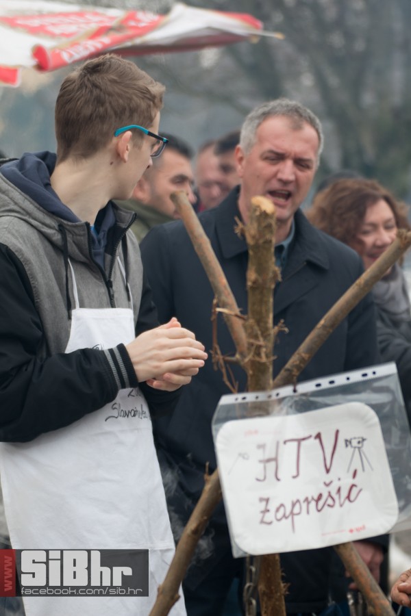 geza_2016_sibhr_37