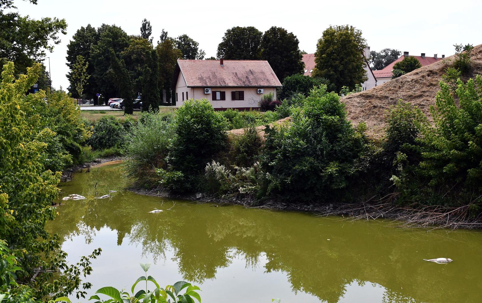Pomor ribe u Slavonskom Brodu