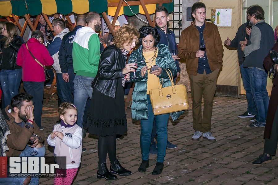Vecer_vina_i_umjetnosti_SiB_hr-