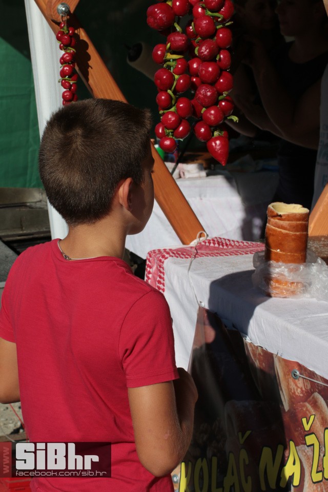 dani_ribe_kopacevo_sibhr_01