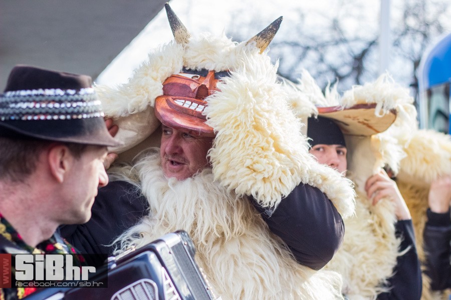 baranjske_buse_u_osijeku_8