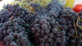 grožđe tržnica