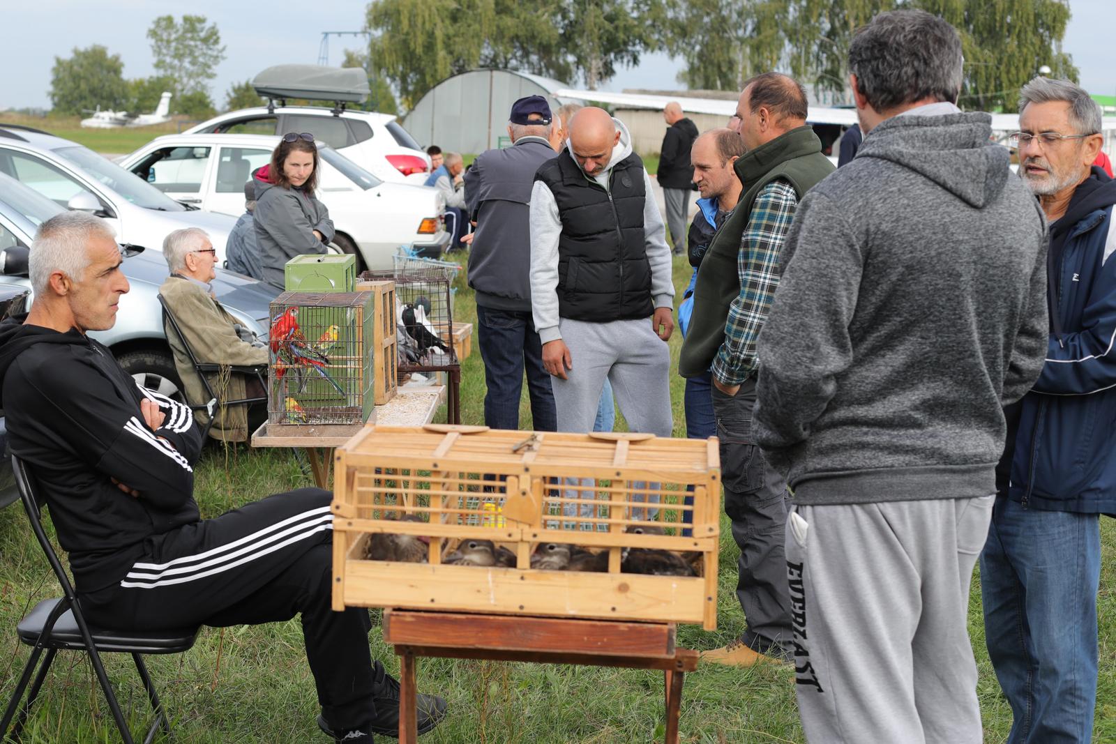 Osječka golubarska pija, rujan 2022. Osječka golubarska pija, rujan 2022.