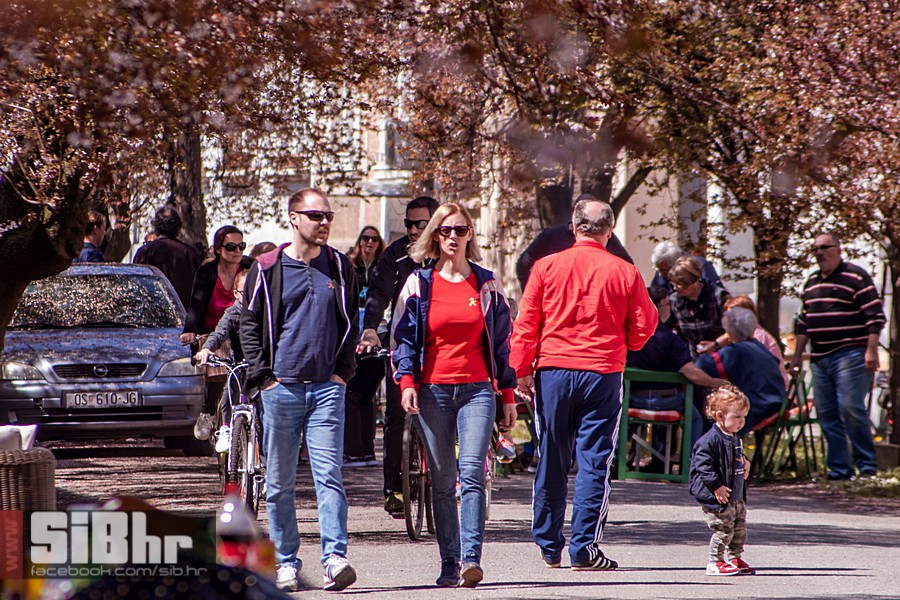 ulica_ringlova_ivica_benic_sibh