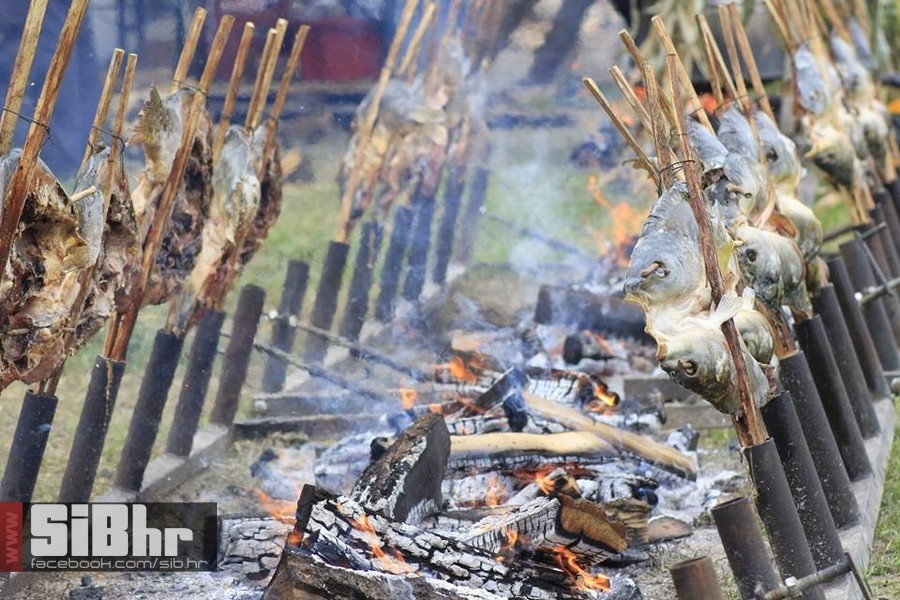 dani_ribe_SiB_hr_20 dani_ribe_SiB_hr_20