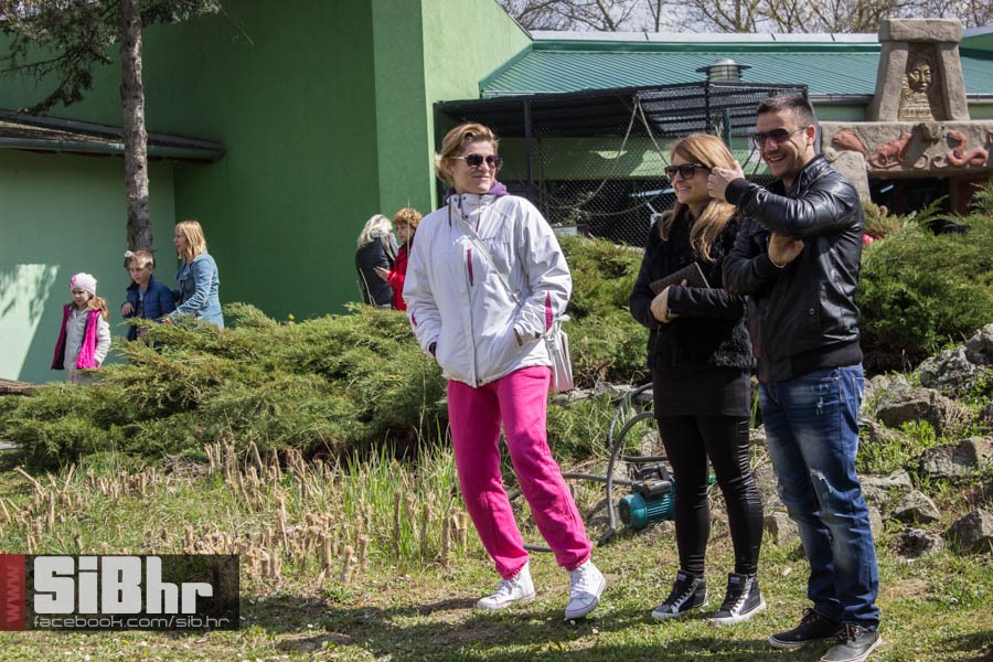 zoo_vrt_113