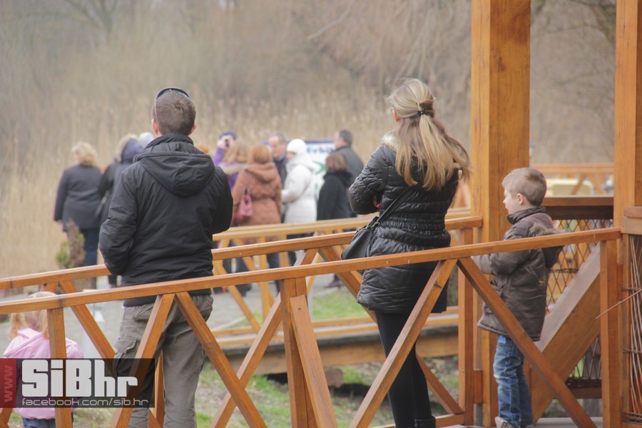kopacki_rit_ozujak2015_SiBhr_10