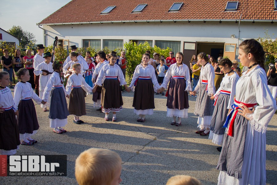 ilocka_berba_1_SiB_hr_07