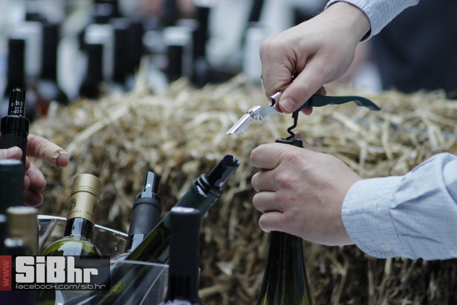 wine_fest_osijek_SiBhr_29