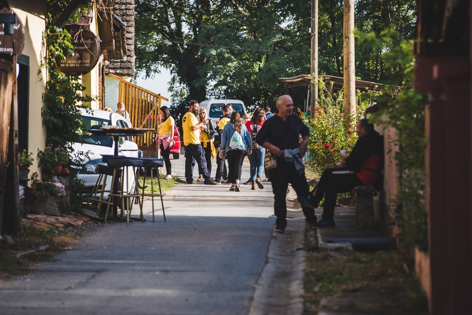 Vinski maraton u Zmajevcu