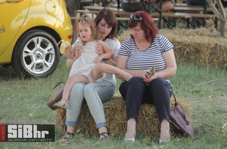 slama2015_subota_SiBhr32