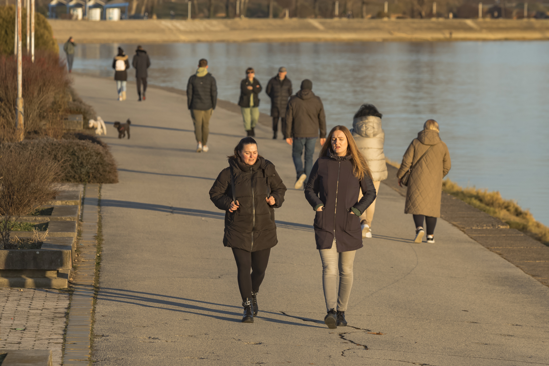 Nedjeljna šetnja 29.1.2024.