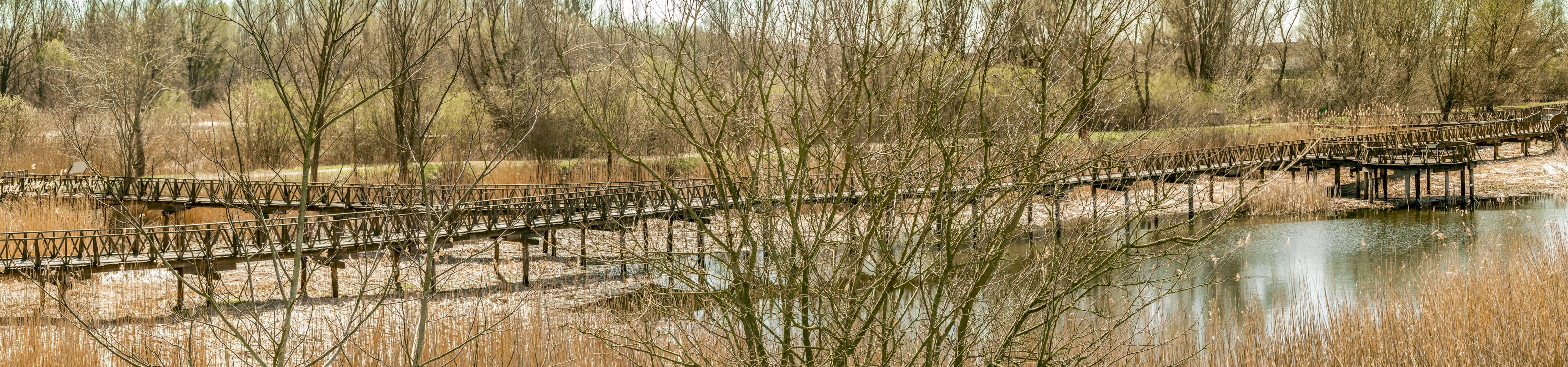 Kopački rit ožujak 2023. Kopački rit ožujak 2023.