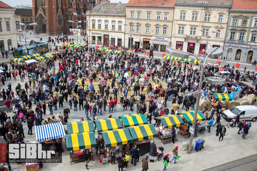 gnijezdo2015_63