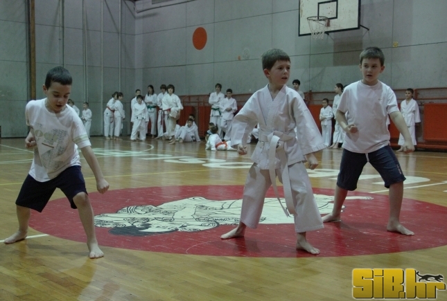 karate_17_2_2011_006