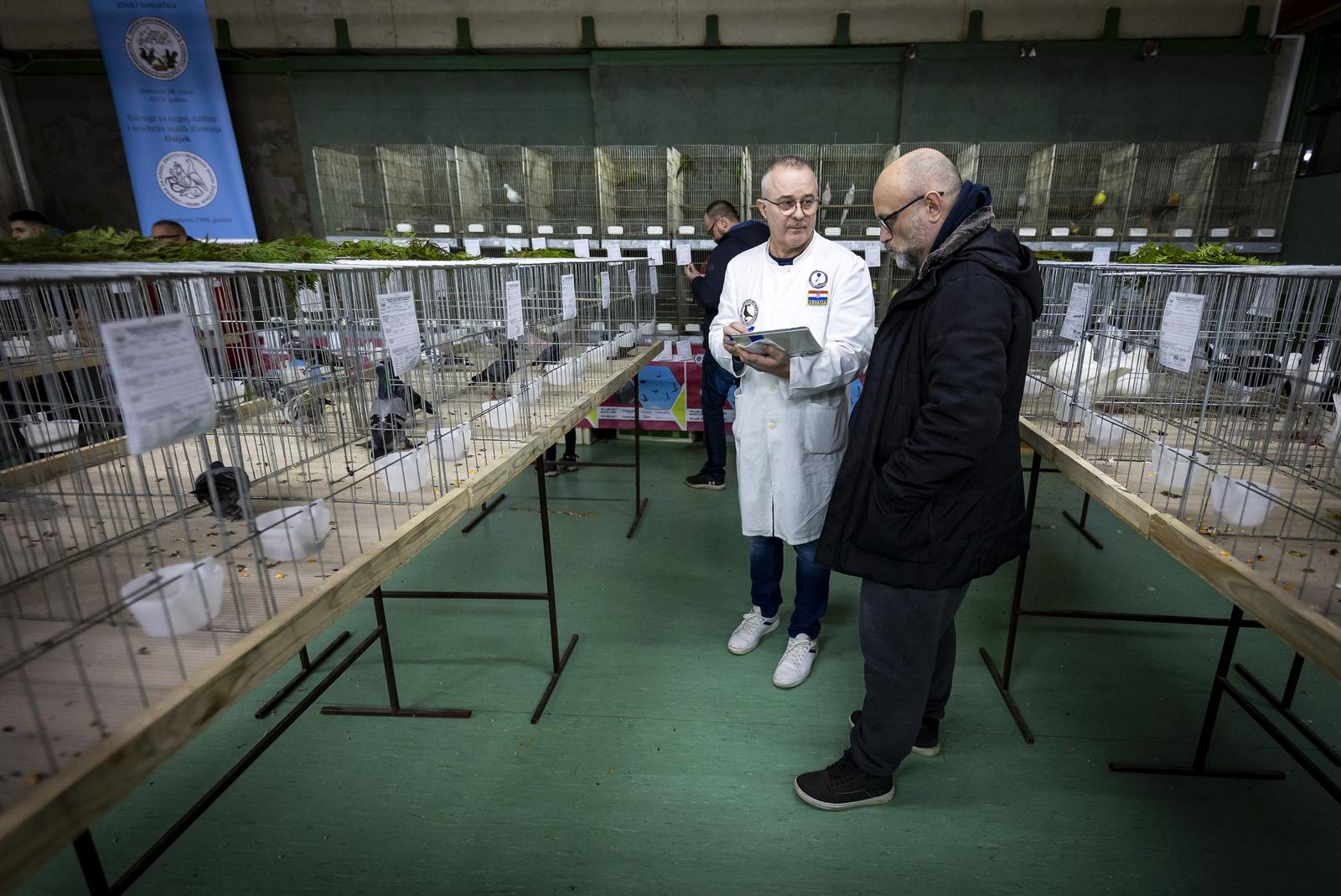 Međunarodna izložba malih životinja “Regija Panonika – Osijek 2024”