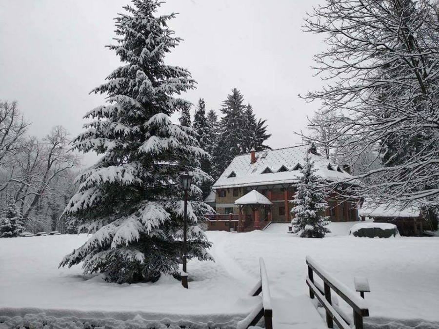 FB_IMG_1519646390887-900×675 FB_IMG_1519646390887-900×675