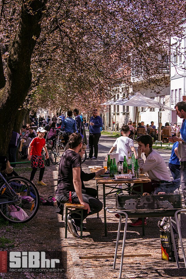 ulica_ringlova_ivica_benic_sibh