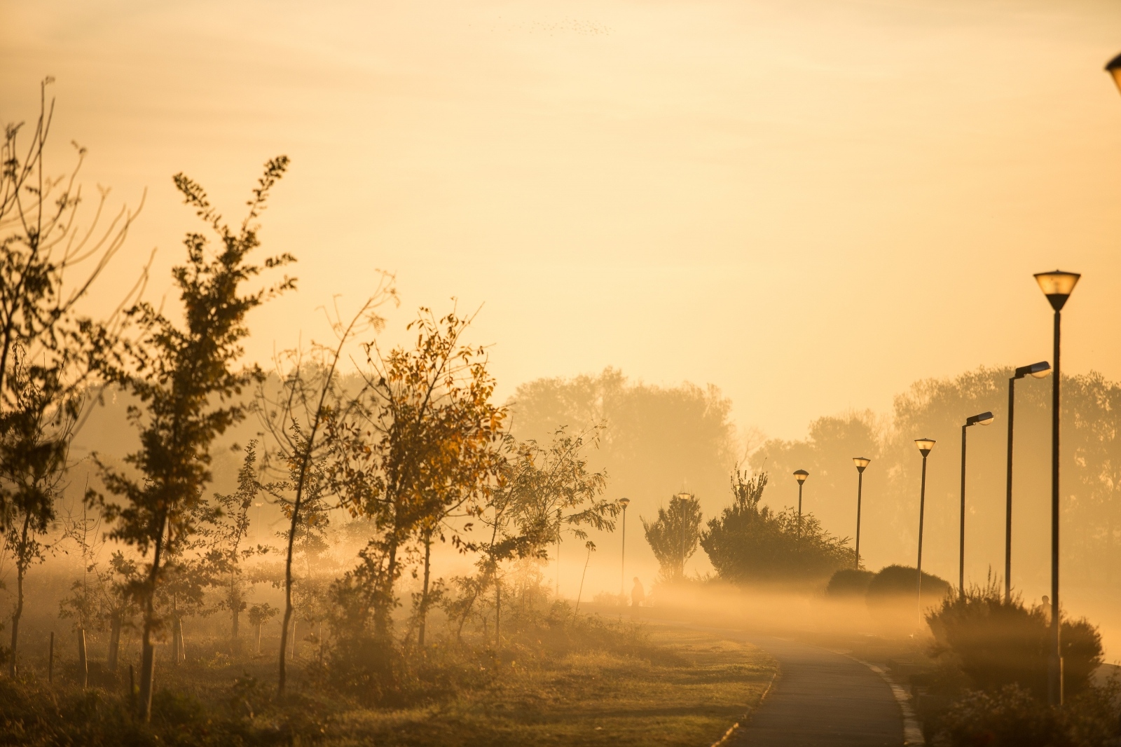 Čarobno jutro u gradu na Dravi