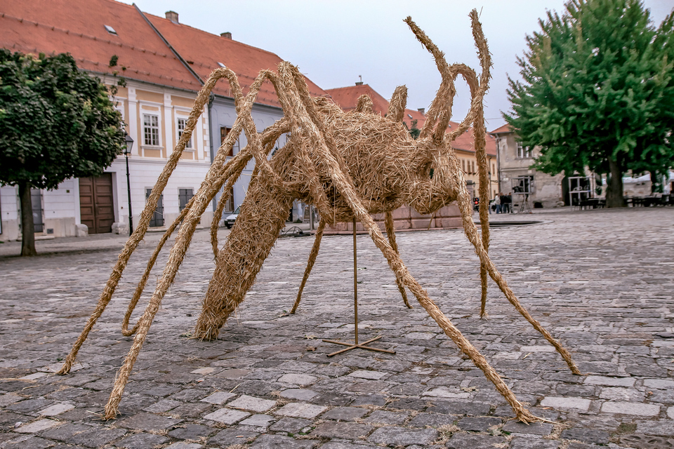 Osijek, 3.10.2019. – Započeo HeadOnEast festival Osijek, 3.10.2019. – Započeo HeadOnEast festival