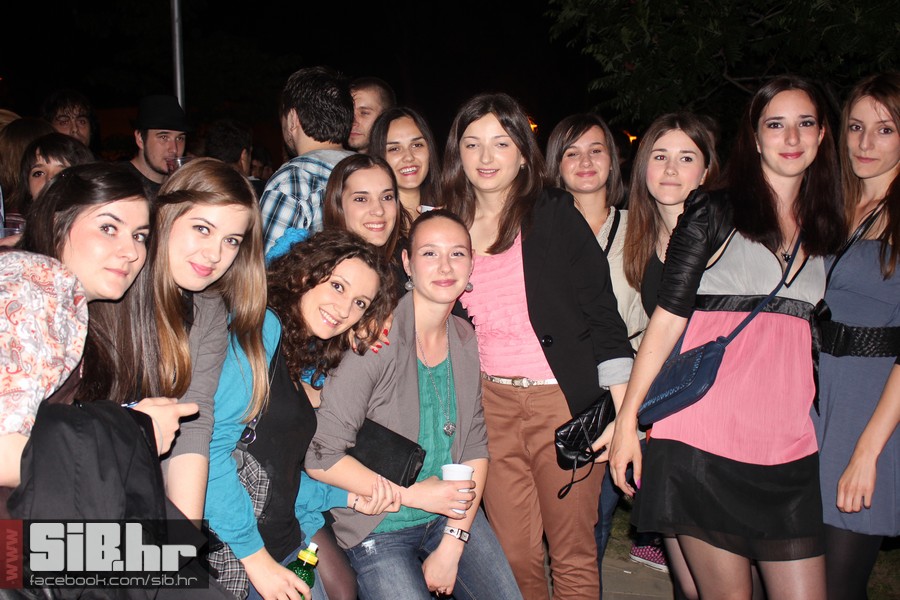 dc_party_sib