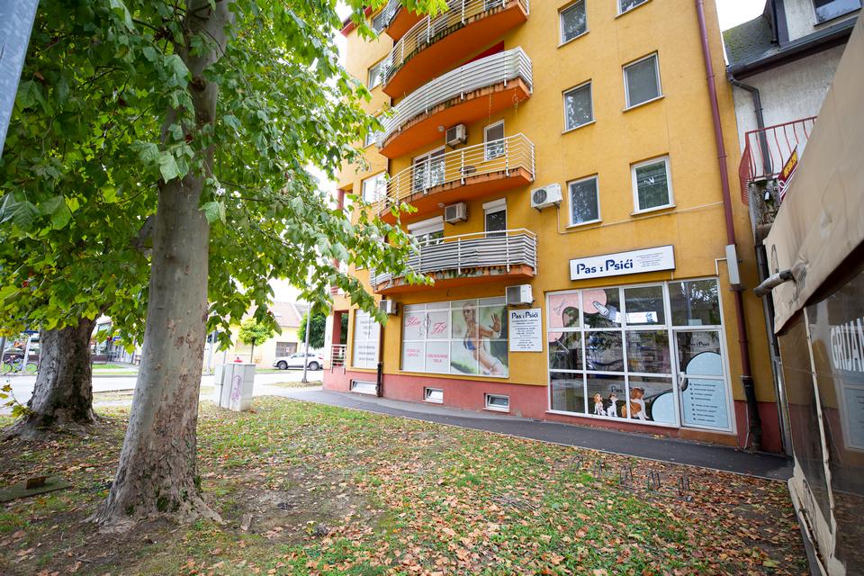 ‘Pas i psići’ novi salon i trgovina za kućne ljubimce u Osijeku