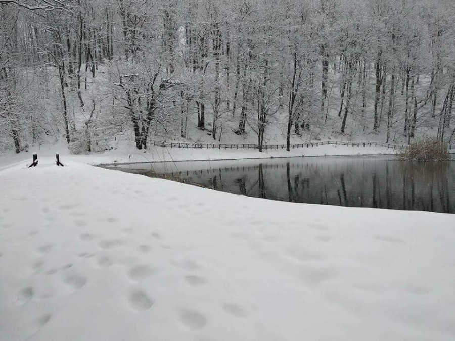 FB_IMG_1519646386208-900×675 FB_IMG_1519646386208-900×675