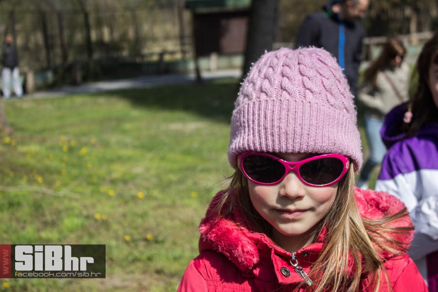zoo_vrt_59