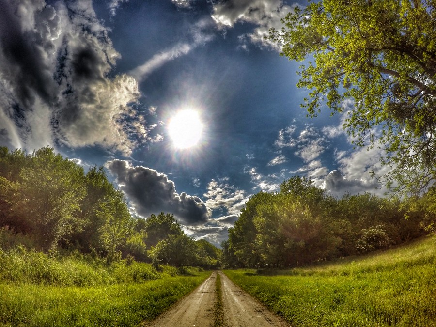 baranja_by_gordan_trtanj_SiBhr_