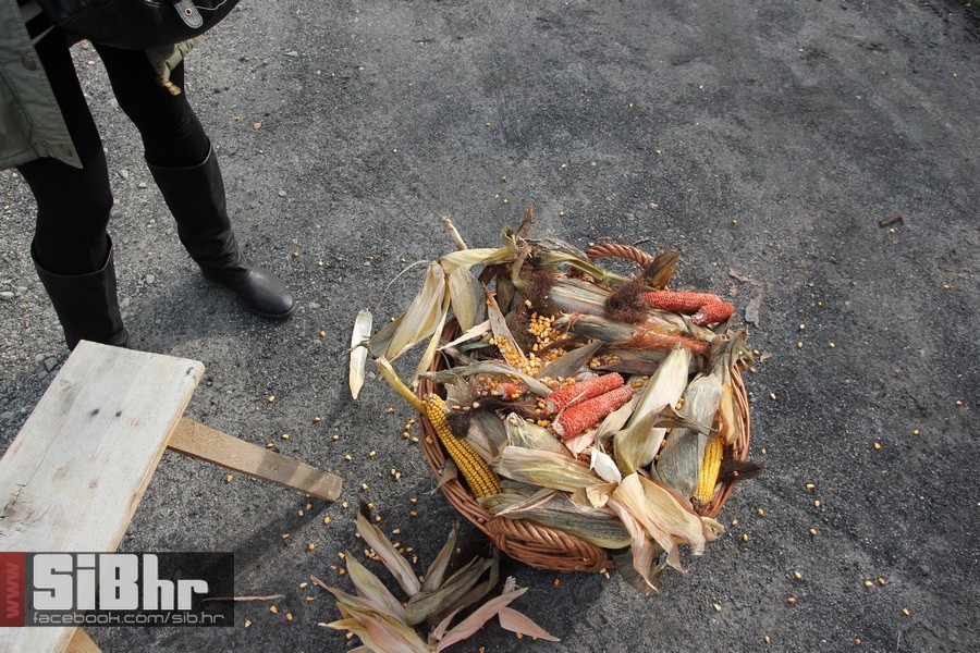 vinski_maraton_zamjevac_SiBhr_4 vinski_maraton_zamjevac_SiBhr_4