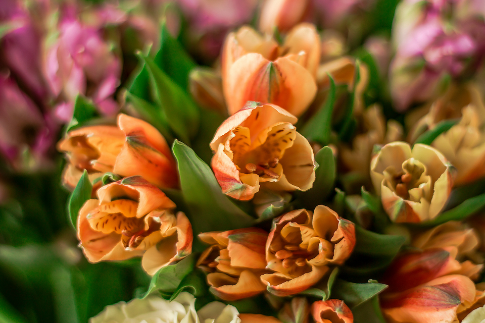 Florista