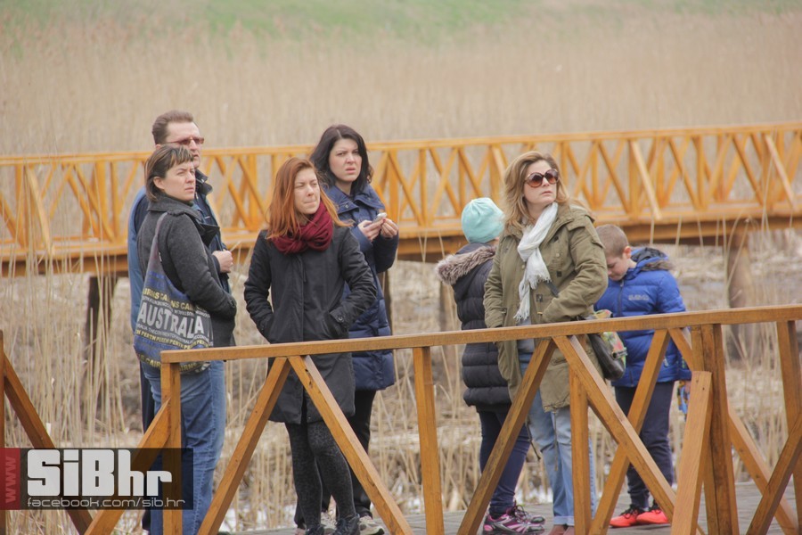 kopacki_rit_ozujak2015_SiBhr_13