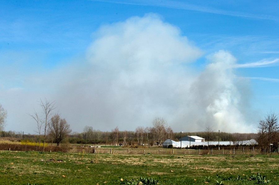PXL_170319_23967616-900×599