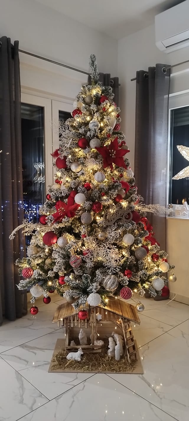 Najljepši borovi na Božić 2023. Najljepši borovi na Božić 2023.