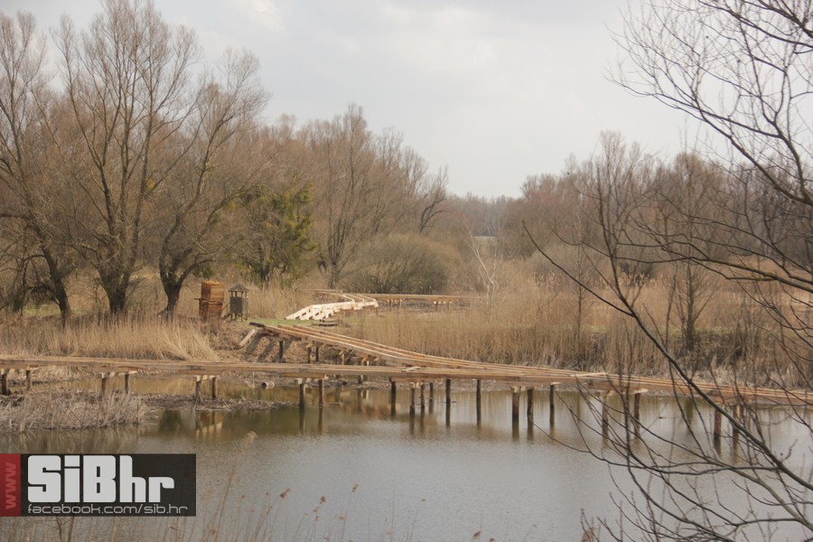 kopacki_rit_ozujak2015_SiBhr_44