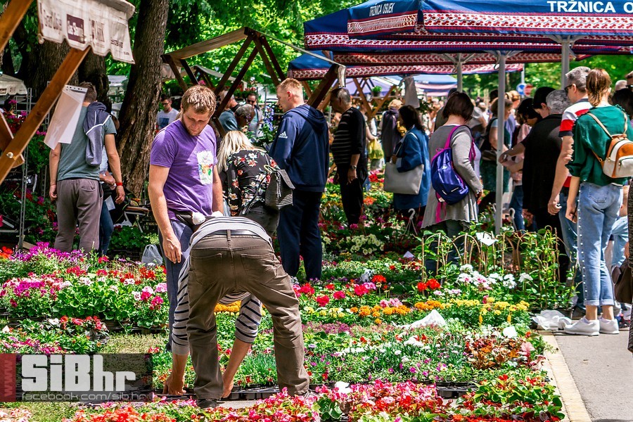 Sajam_cvijeca_SiB_HR_RTL-026