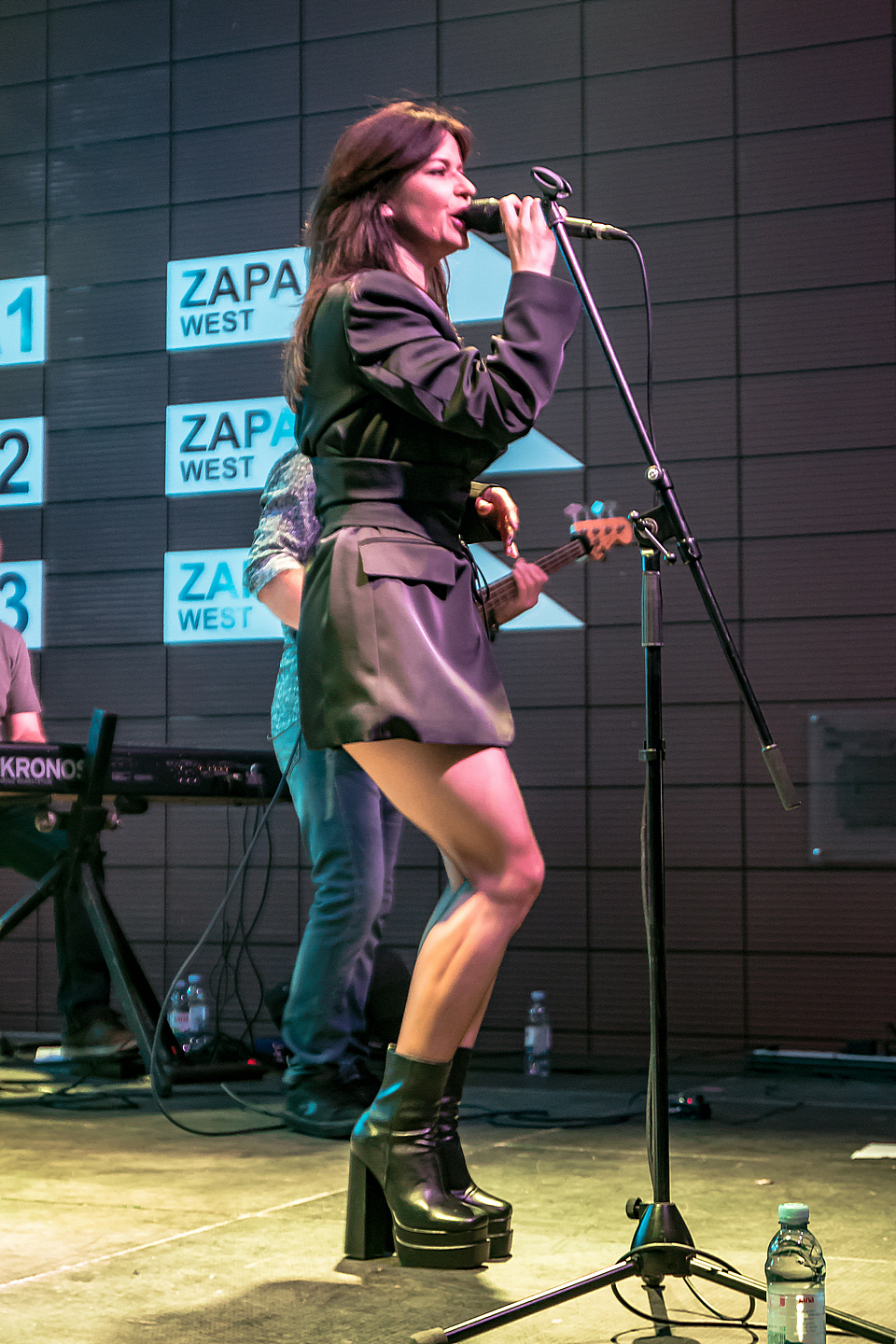 Vesna Pisarović u Osijeku Vesna Pisarović u Osijeku