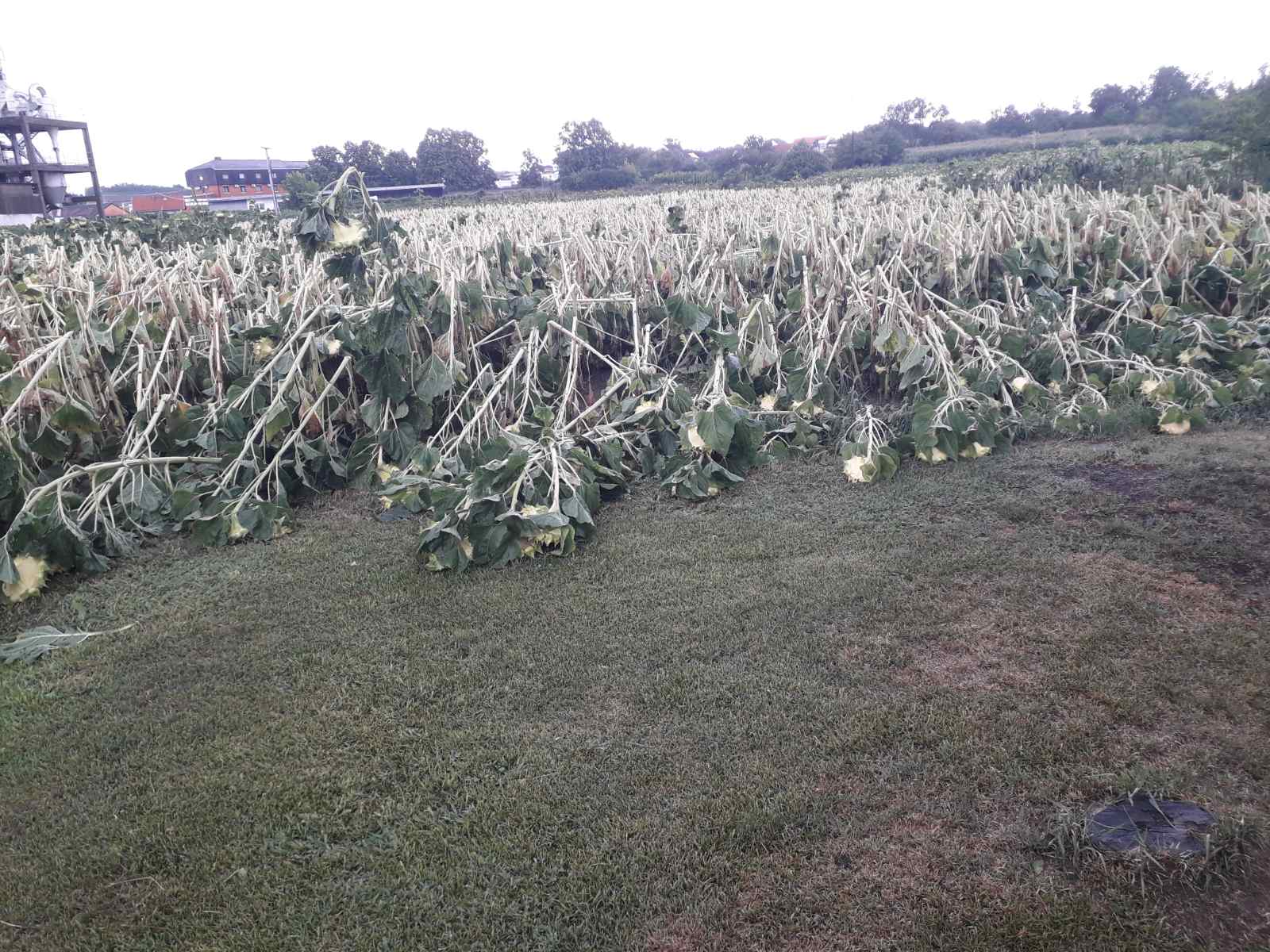 Nevrijeme u Našicama