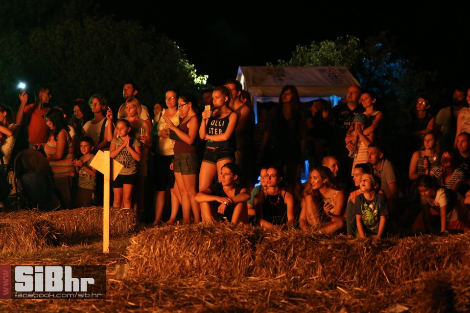 slama_2016_SiBhr_56