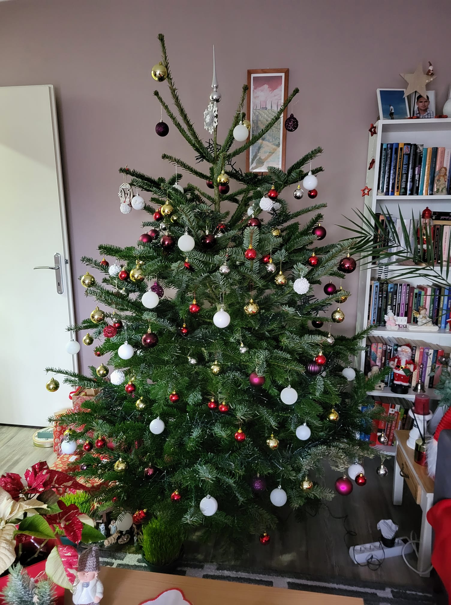 Najljepši borovi na Božić 2023. Najljepši borovi na Božić 2023.