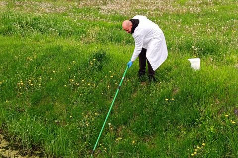 foto 2 (1) foto 2 (1)