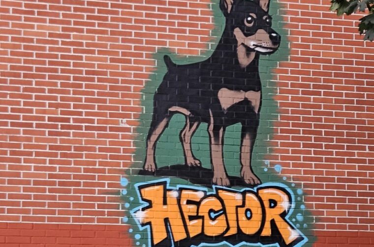 pas hector