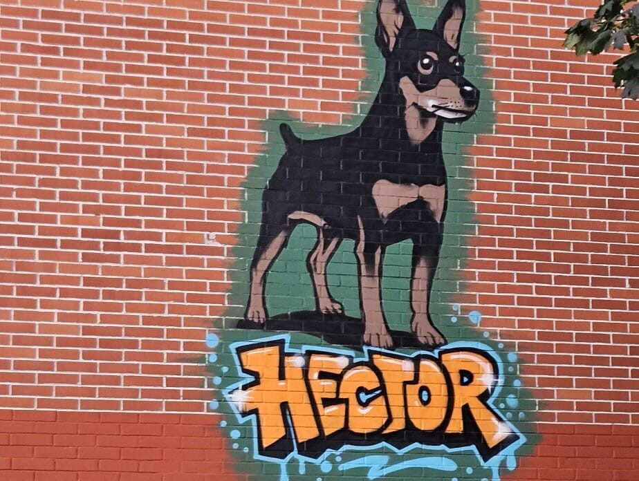 pas hector