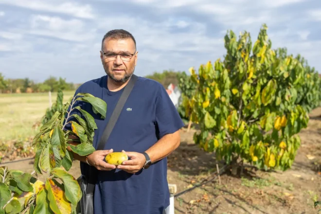 indijanska banana